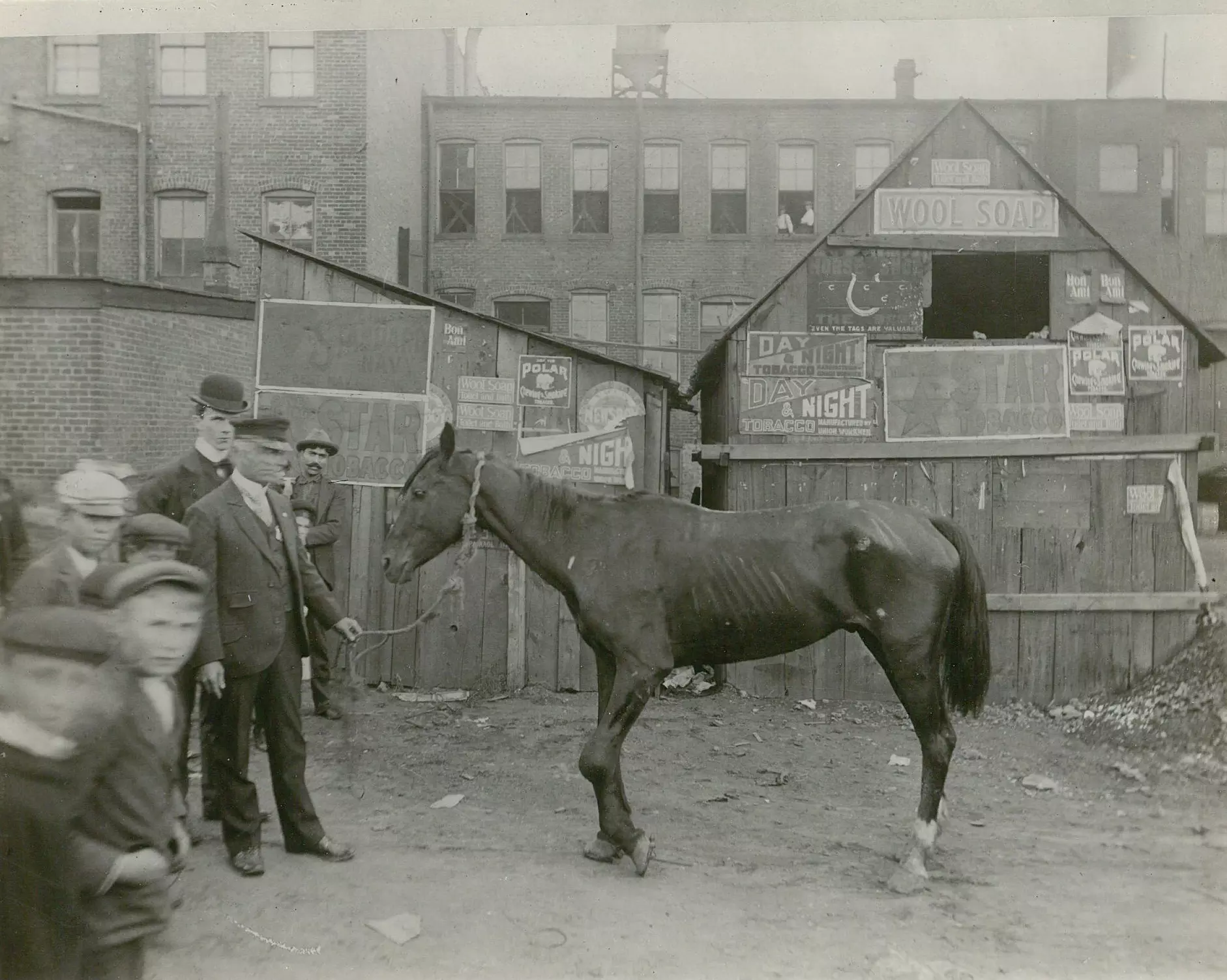 ta ths Horse removed by officers